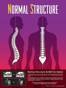 Normal Structure Chiropractic Chiropractor Columbia SC